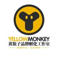 黄猴子品牌孵化机构