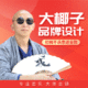 大椰子品牌设计