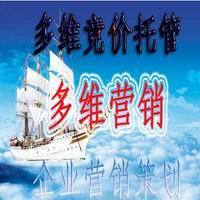 阿里巴巴 楠溪王 服装网店运营推广方案-营销推广