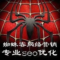 蜘蛛客网站建设seo网络推广
