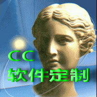 CC软件定制