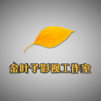 金叶子影视工作室