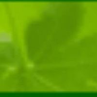 数据录入公司【服务商 店铺】