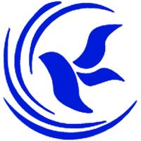 辰星飛遠(yuǎn)科技