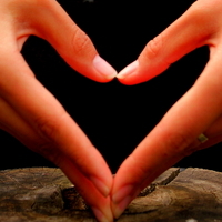 写一篇200-300字左右的关于公司开业的新闻稿