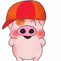 求购淘宝开店全套资料,220元一套-广告策划-方