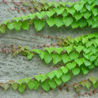 代销5mm防火玻璃-玻璃\/陶瓷\/耐火材料-建材工