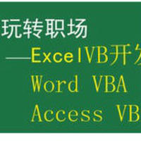 Office Excel Word Access VB开发