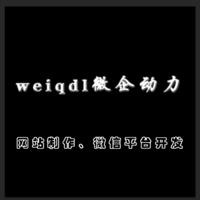 weiqdl微企动力