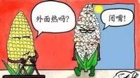 小**寶