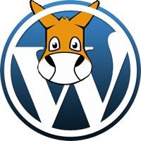 Wordpress 外贸网站建设服务 包括域名空间页面