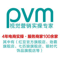 PVM视觉营销