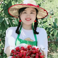 制作一个火锅连锁加盟网站以及微信营销平台-