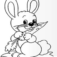 拔兔子de萝卜