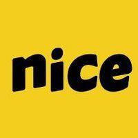 The Nice Thing