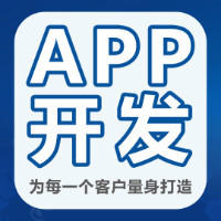 专业电商APP开发