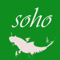 soho鱼