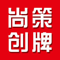 【总监操刀】全套-整合传播策划