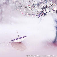 花开时节雨漫漫