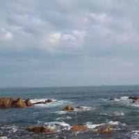 浪子55gg3