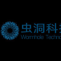 虫洞科技有限公司