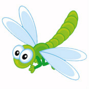 绿蜻蜓888