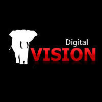 唯视数码（Vision Digital）