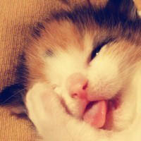 洗发水软文-文案撰写