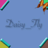 Daisy_Fly