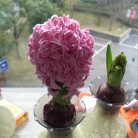 嗨一戒