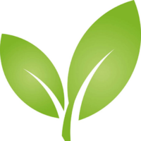 芽兒軟件開發(fā)