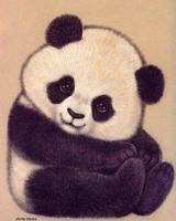 小馬設(shè)計指導(dǎo)師