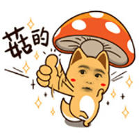 方舟企業(yè)咨詢