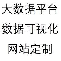 大数据平台、数据可视化、网站定制开发