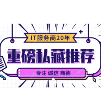 IT行業(yè)專(zhuān)業(yè)解決服務(wù)商20年
