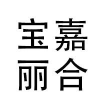 寶嘉麗合整合營銷