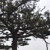 立雨設(shè)計(jì)工作室
