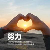 大李子工作室