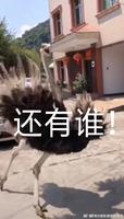 理典