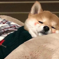 趙二燕