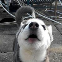 以水養(yǎng)生