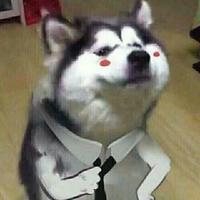 魚的記憶深刻的