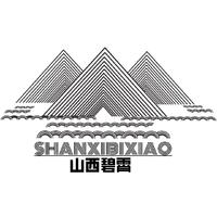 山西碧霄科技
