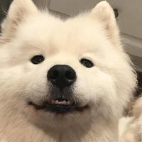 鹿嘻嘻工作室