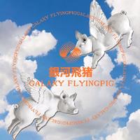 GALAXY FLYINGPIG