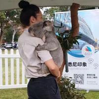天行健君子以自強(qiáng)不息2020