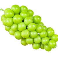 無(wú)一物