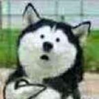 一聲所愛