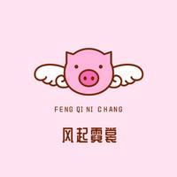 風(fēng)起霓裳工作室