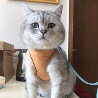 咕咕嘰的小鋪